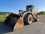 Cargador sobre Neumáticos CATERPILLAR 972K – 2012